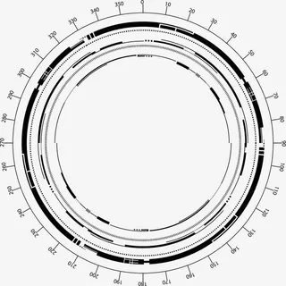 水墨花素材墨迹素材  科技感圆环免抠