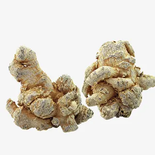 滑头子春三七田七免抠