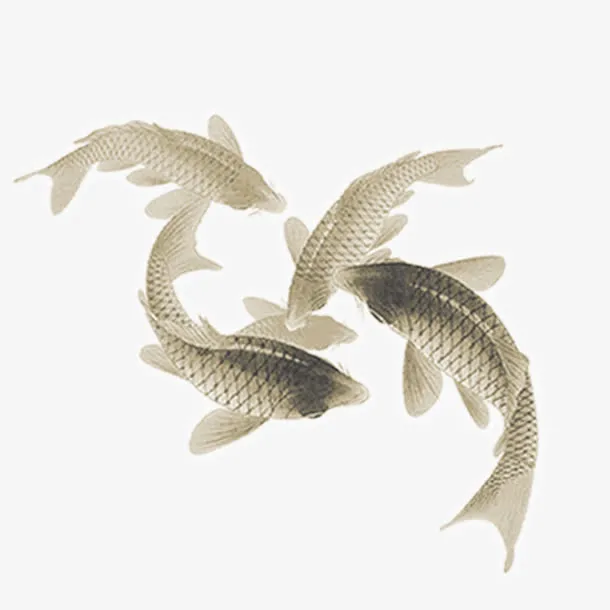 中国风鲤鱼免抠
