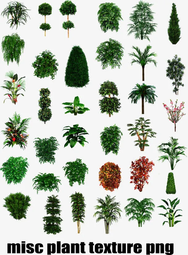 绿色植物树木灌木丛图标免抠
