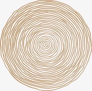 卡通棕色木桩png图免抠