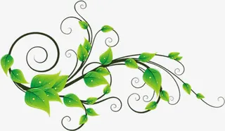 绿色卡通线条树叶春天免抠