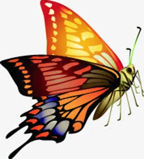 手绘彩色春天蝴蝶免抠装饰动物元素