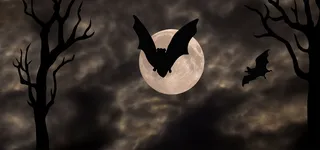 黑夜万圣节背景高清