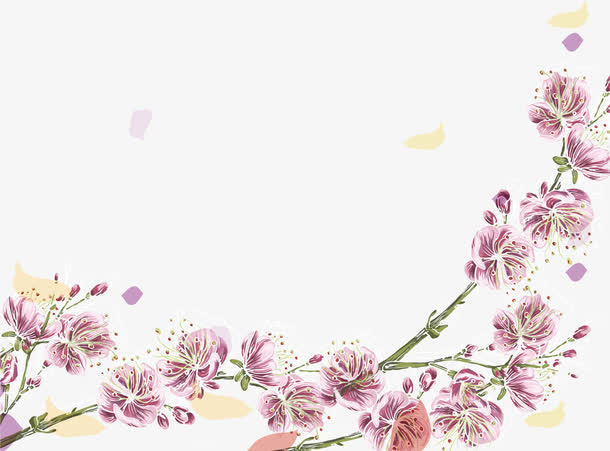 鲜艳的樱花免抠
