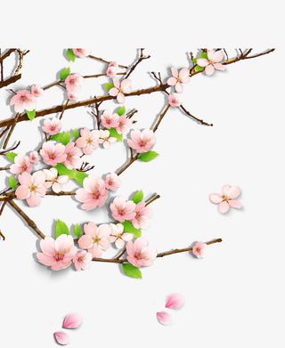 唯美精美桃花花朵花枝花瓣树叶装免抠