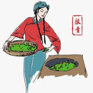 茶叶制作工艺免抠
