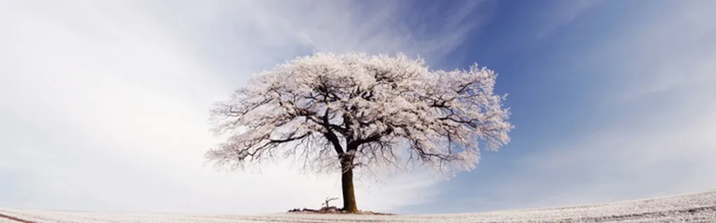 雪景背景图高清