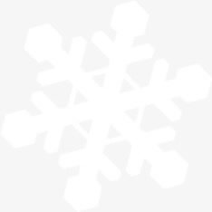 扁平风格造型雪花形状免抠