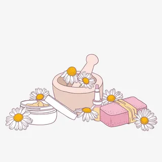 矢量洋甘菊免抠