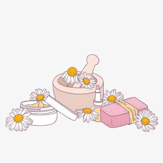 矢量洋甘菊免抠