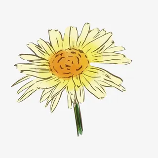 国潮素雅菊花手绘元素免抠