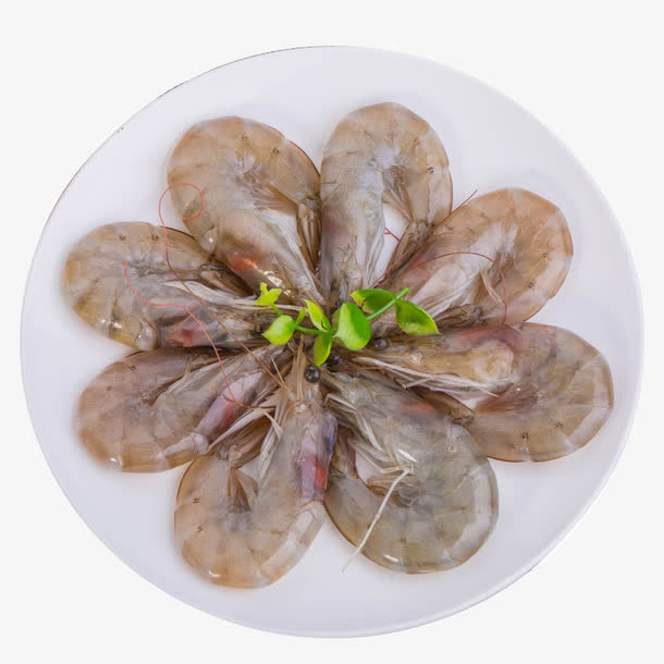 对虾大虾新鲜免抠