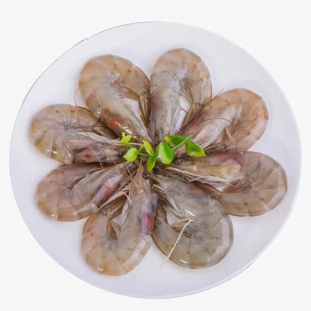 对虾大虾新鲜免抠
