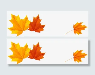 秋天枫叶树叶免抠