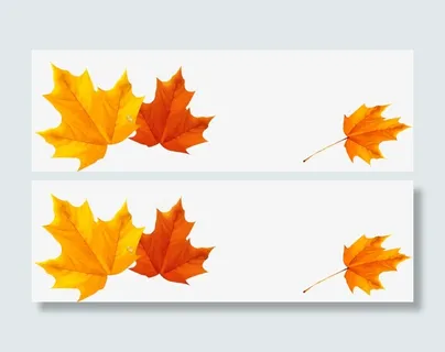 秋天枫叶树叶免抠 秋天枫叶树叶免抠