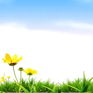 创意春季背景高清文艺清新背景