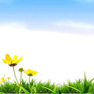 创意春季背景高清文艺清新背景