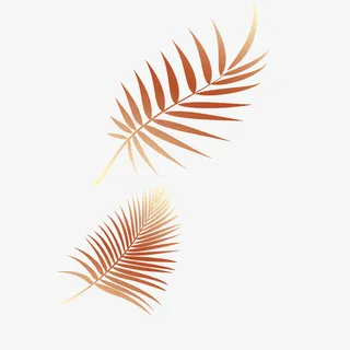 金色叶子 渐变叶子 装饰叶子免抠