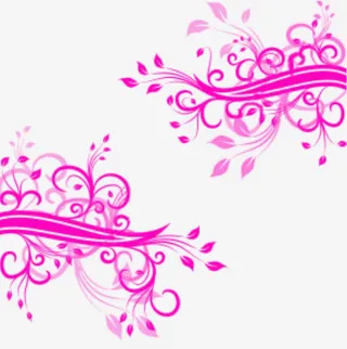 唯美浪漫精美花纹免抠