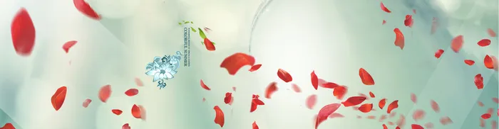 飘逸の花瓣高清
