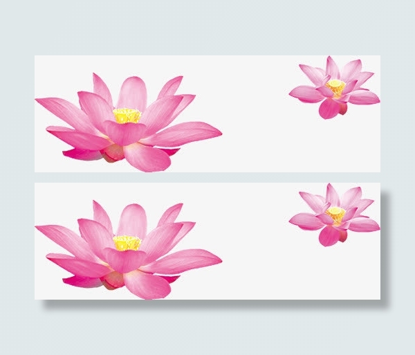 手绘合成开放的荷花免抠