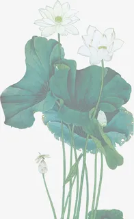 白色中国画荷花开业免抠 白色中国画荷花开业免抠