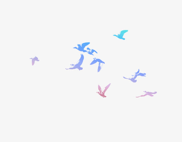 彩色小鸟剪影免抠