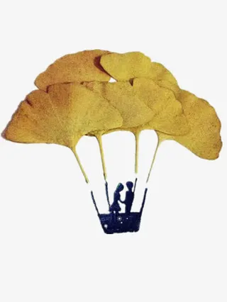 创意叶子画免抠