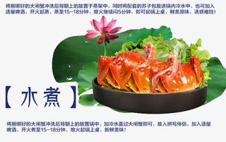 一碗螃蟹荷花背景