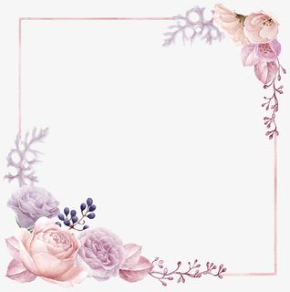 手绘花草花卉边框设计免抠