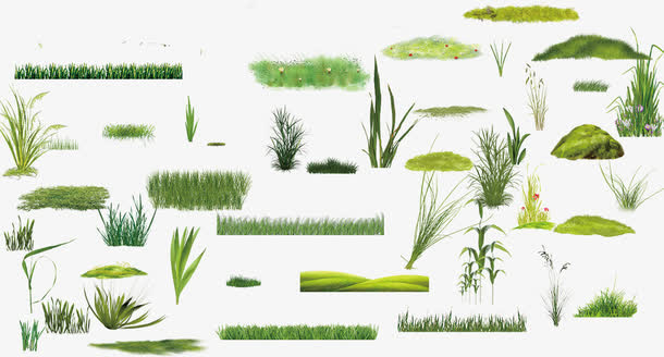 草丛植物素材下载免抠