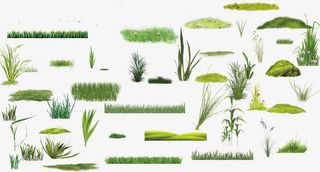 草丛植物素材下载免抠