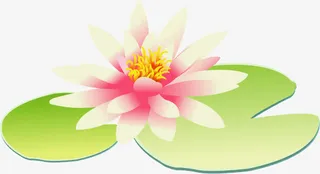 荷叶荷花*核心价值观宣传免抠