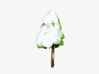 披着雪花的树免抠