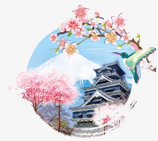 日本樱花免抠