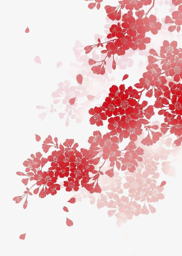 红色樱花免抠