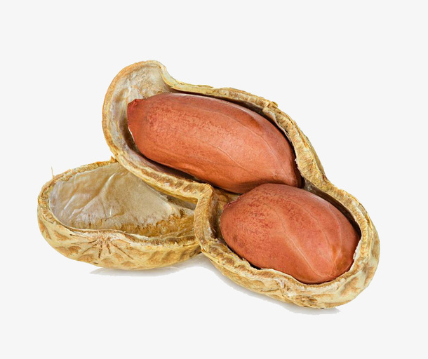 一颗剥开的花生免抠