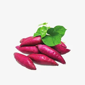 红薯叶子免抠
