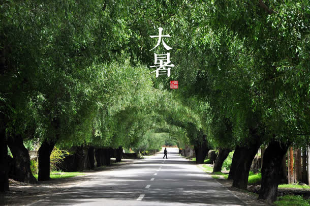 大暑节气立春为先免抠