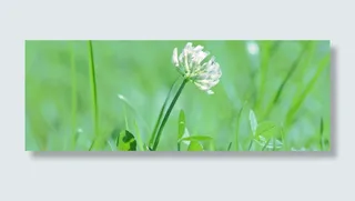 门户网站banner创意设计