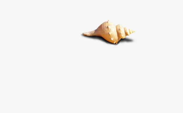 海螺，海边，沙滩，度假免抠