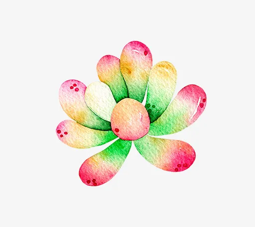 小清新插画广告设计卡通多肉盆栽免抠