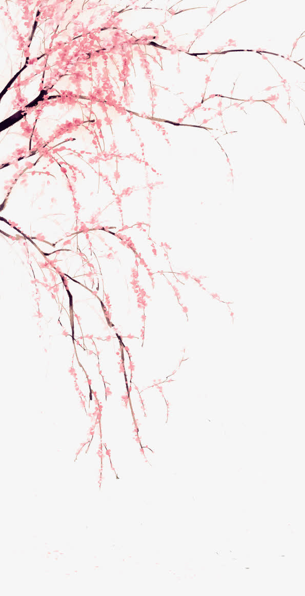 桃花png免扣素材免抠漂浮花瓣元素