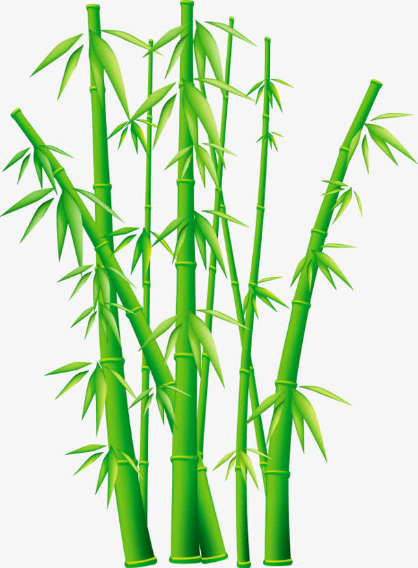 茂密卡通竹林免抠