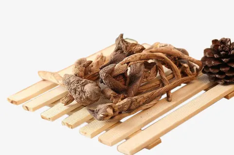 精选菌种之王优质野生鸡枞菌免抠