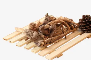 精选菌种之王优质野生鸡枞菌免抠