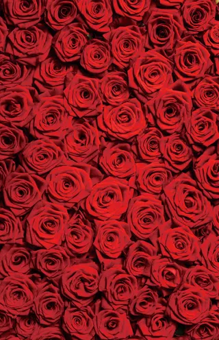 海报活动红色玫瑰花免抠