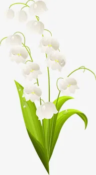 春天白色手绘花朵装饰免抠