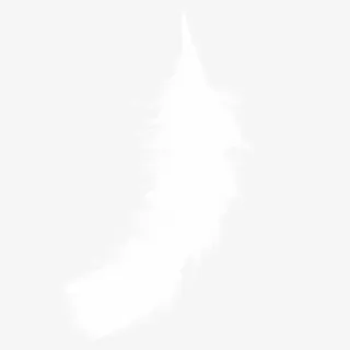 白色羽毛免抠 白色羽毛免抠